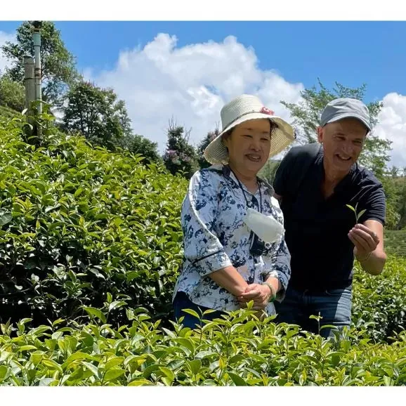 Palais des Thés Bao Zhong Mae Salong oolong te 100 g øko