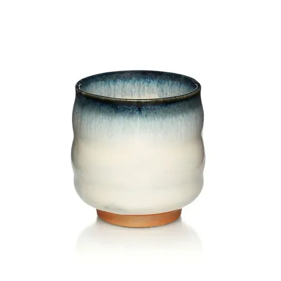 Palais des Thés Mino Yaki kop 28 cl keramik