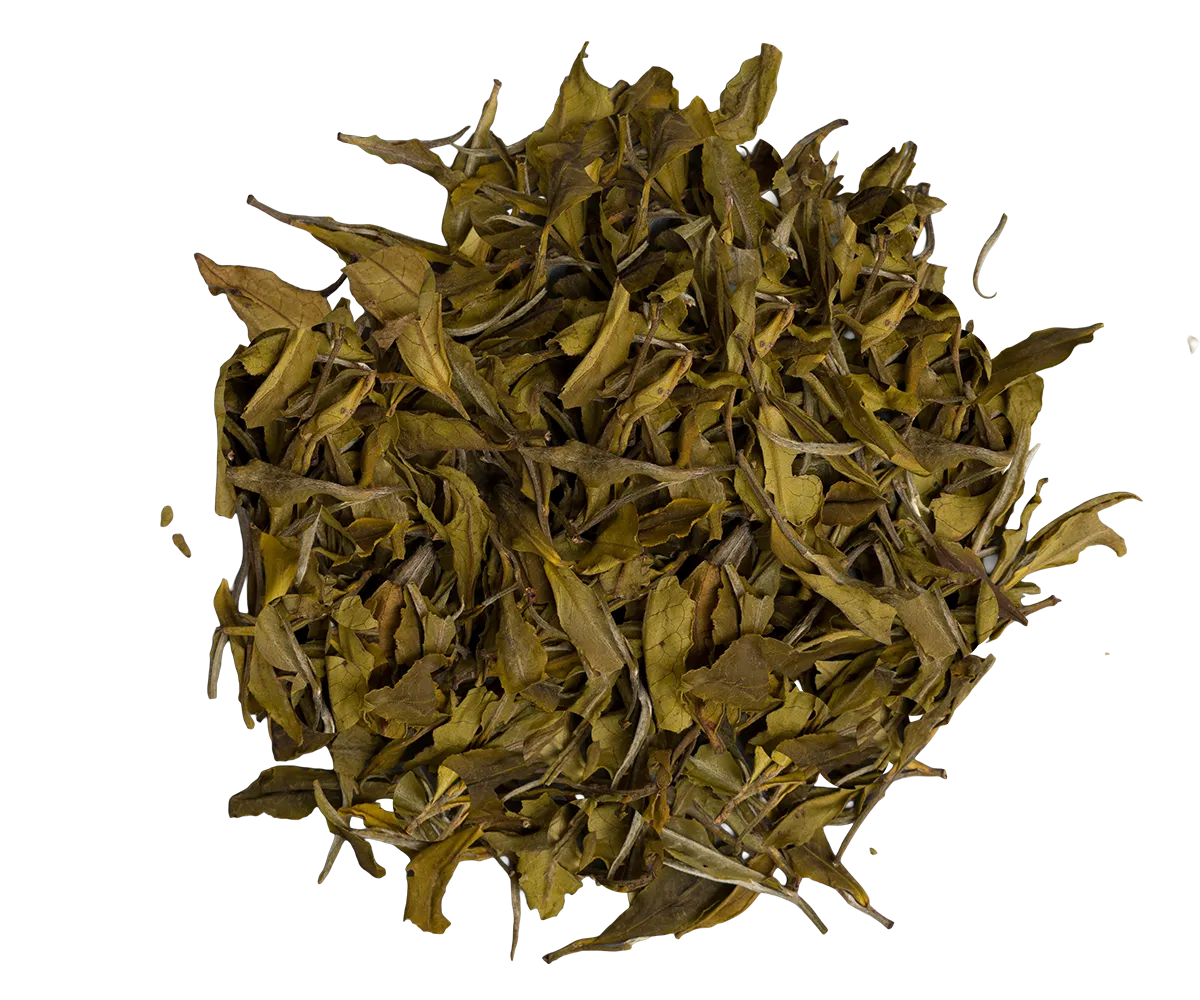 Basilur Ceylon Premium hvid te 25g dåse
