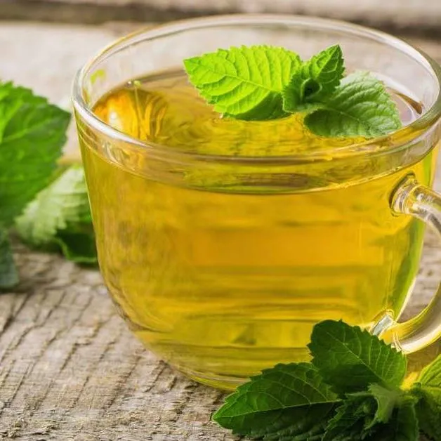 Tea with Tae Peppermint pose urtete 15 breve koffeinfri