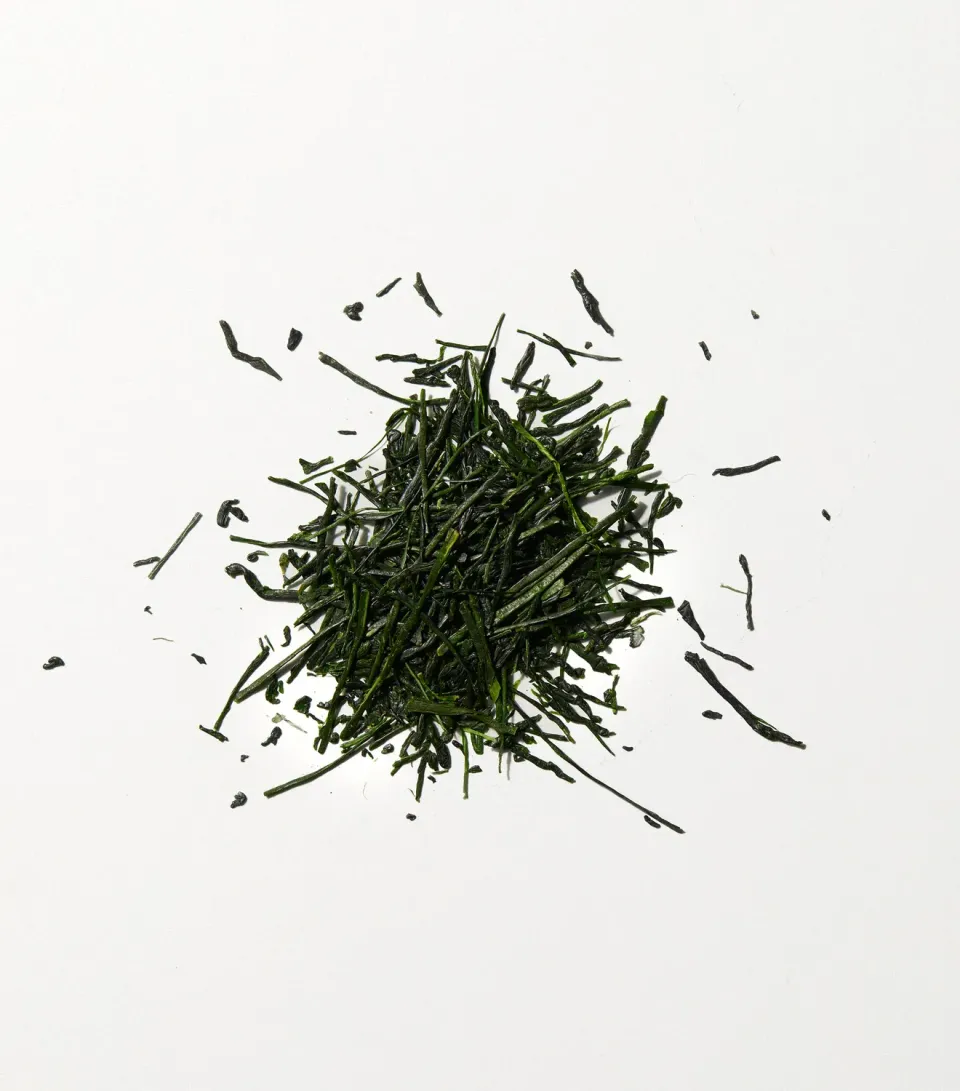 Tyst Te Asamushi Asanoka Sencha 50g Økologisk