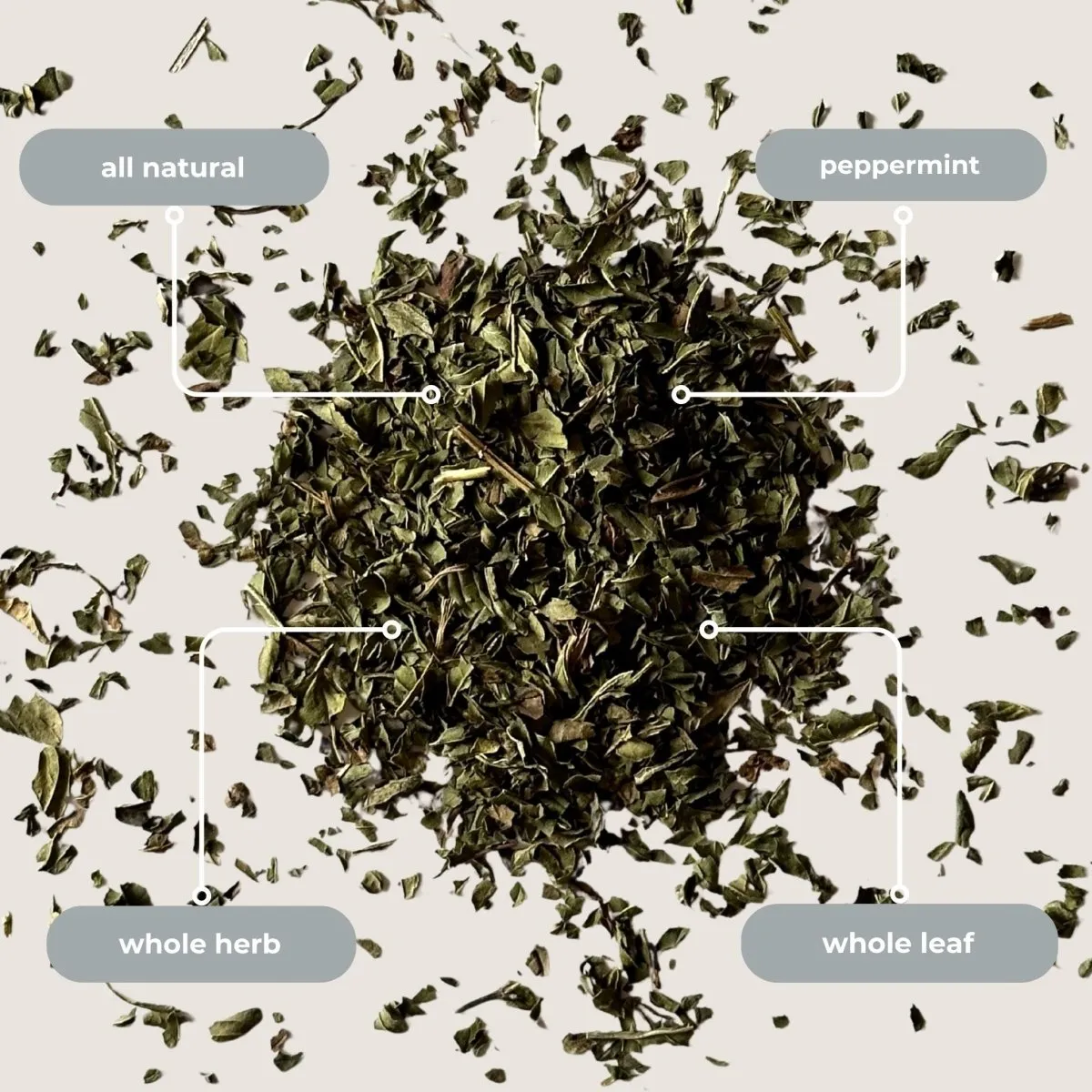 Tea with Tae Peppermint myntete tube 5 breve frisk