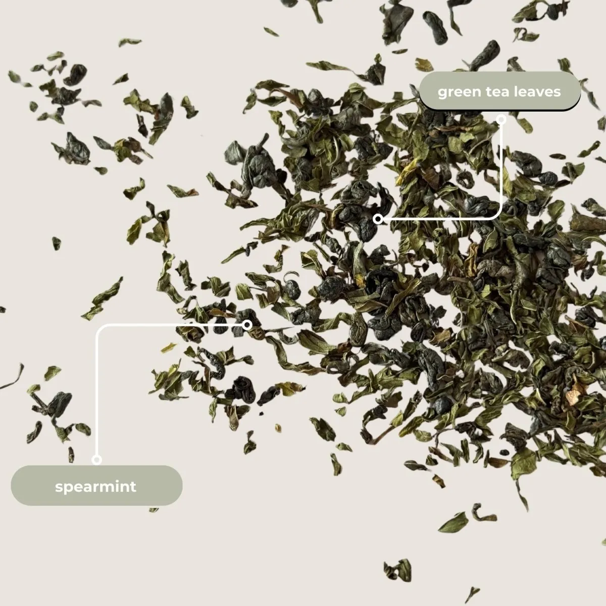 Tea with Tae Moroccan Mint Mini Tube te 5 breve mynte