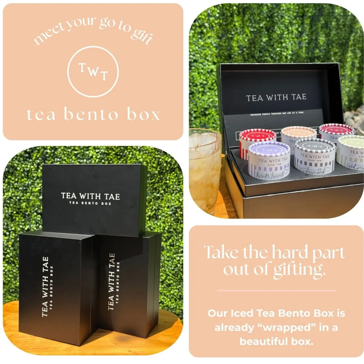 Tea with Tae Iced Tea Bento Box iste 30 breve gave