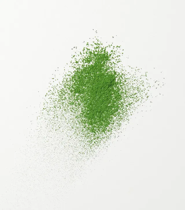 Tyst Te Seian Matcha te 20g ceremoniel økologisk