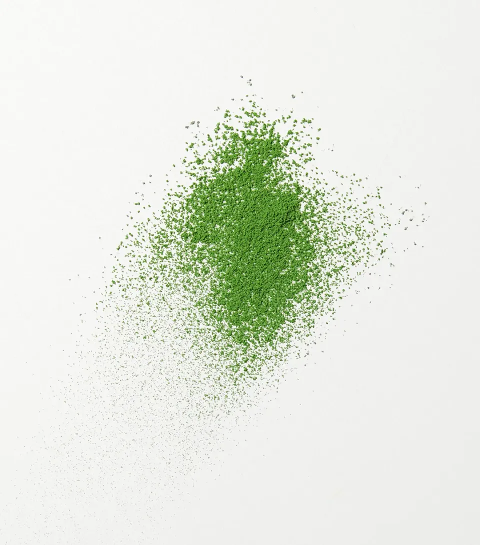 Tyst Te Seian Matcha te 20g ceremoniel økologisk