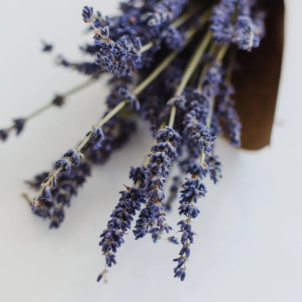Tea with Tae Lavender Earl Grey pose sort te 15 breve