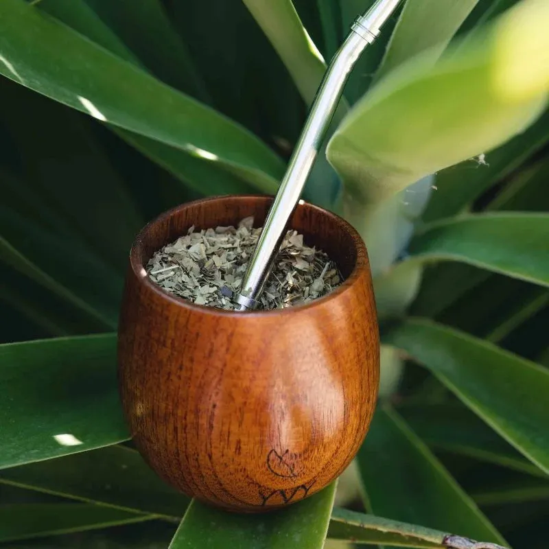 Mate Shop Danmark start kit matesæt jujubetræ 500g økologisk