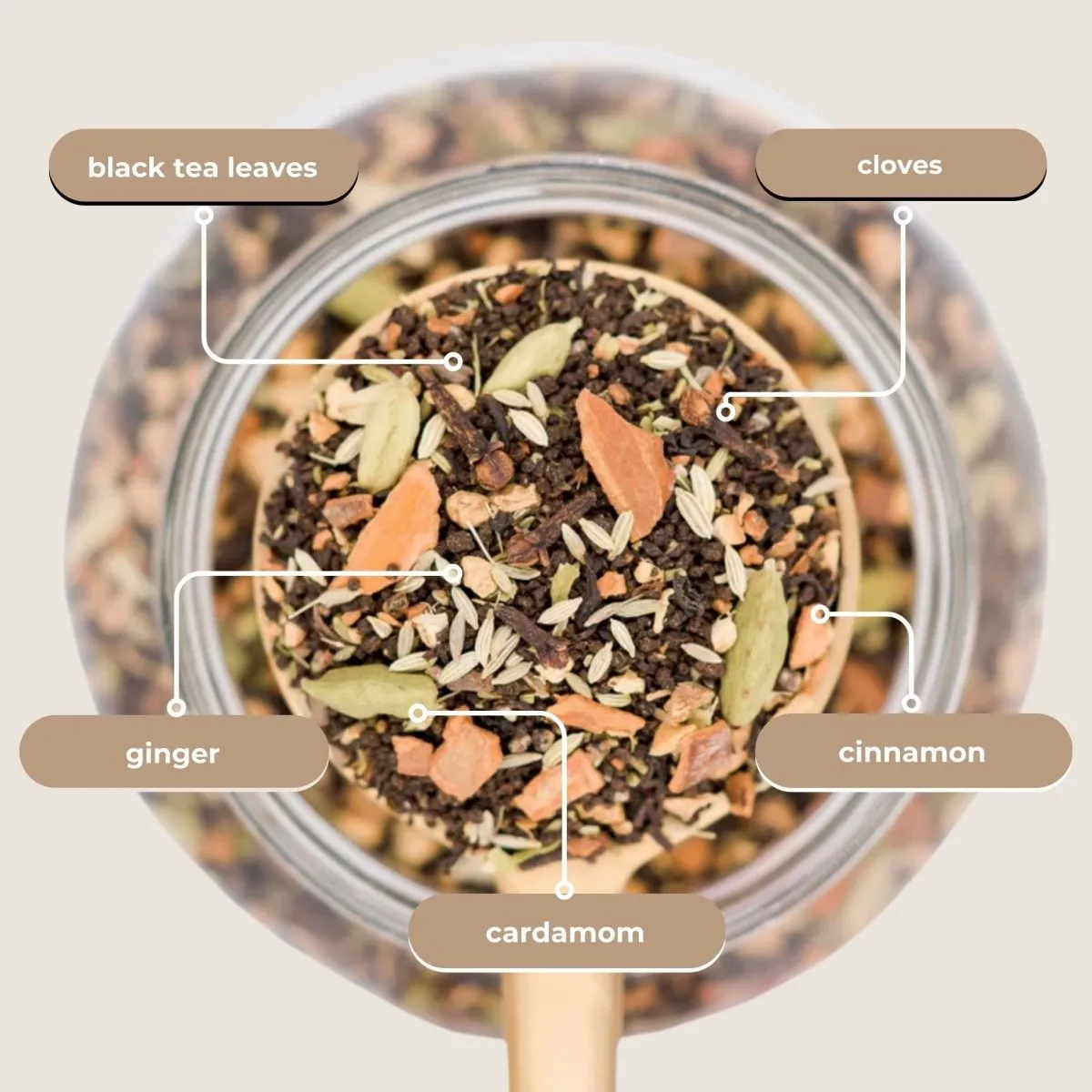 Tea with Tae Tae's Chai mini tube sort te 5 breve ingefær