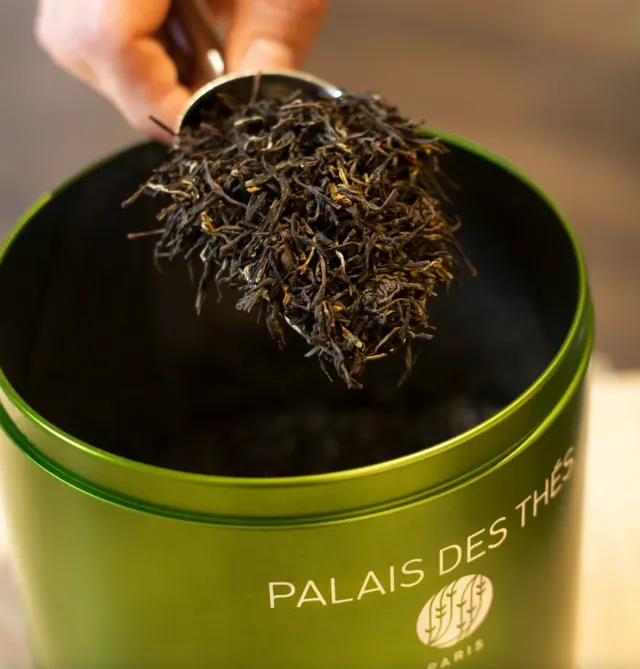 Palais des Thés gavekort 200 kr. te-gave på mail