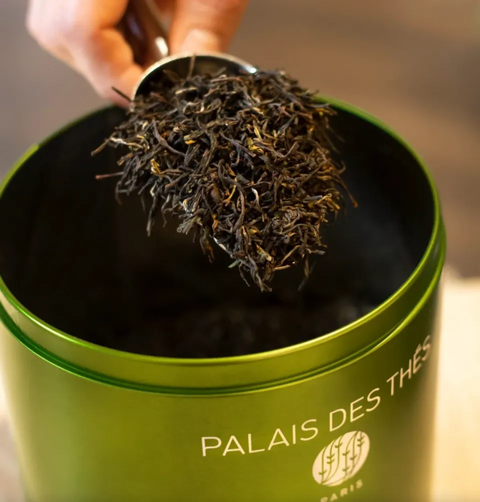 Palais des Thés gavekort 200 kr. te-gave på mail