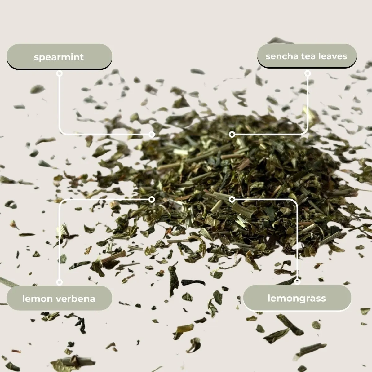 Tea with Tae Garden Sunrise grøn te 5 breve sencha mynte